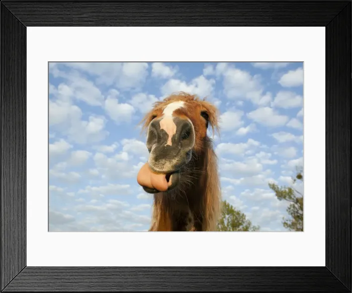 Framed Print : Picture No. 10899032 Framed Print : Picture No. 10899032