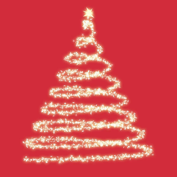 13131019. Christmas Tree Date