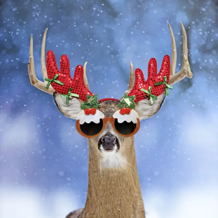 Framed Print : 13131048. Deer, in winter snow wearing antler headband and Christmas glasses Date Framed Print : 13131048. Deer, in winter snow wearing antler headband and Christmas glasses Date