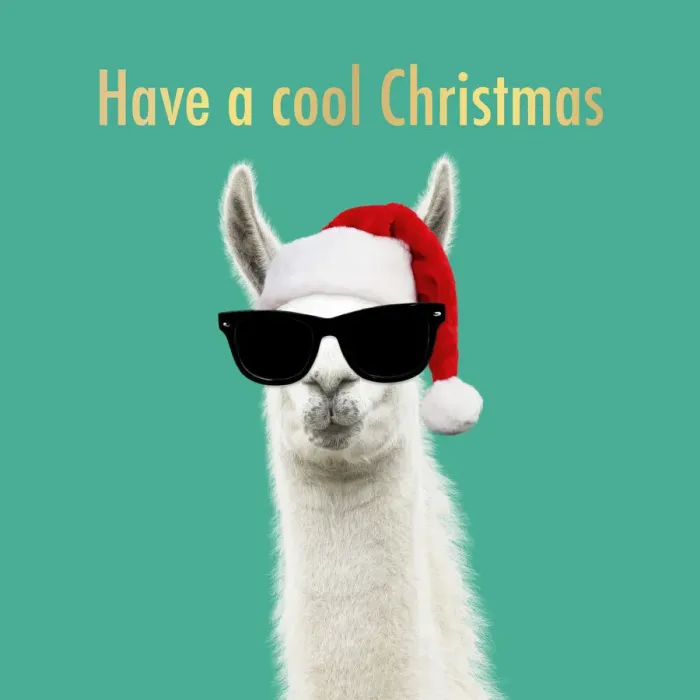 Framed Print : 13131259. Llama wearing Christmas hat and sunglasses Date Framed Print : 13131259. Llama wearing Christmas hat and sunglasses Date