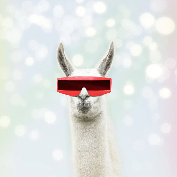 13131476. Llama wearing futuristic glasses Date