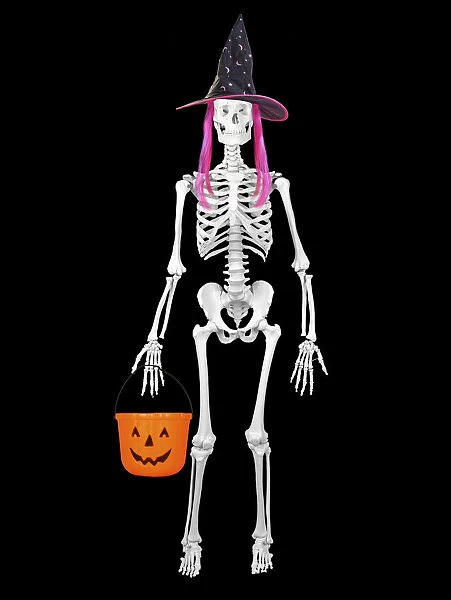 13131741. Human Skeleton with Halloween props Date