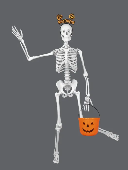 Framed Print : 13131742. Human Skeleton with Halloween props Date Framed Print : 13131742. Human Skeleton with Halloween props Date