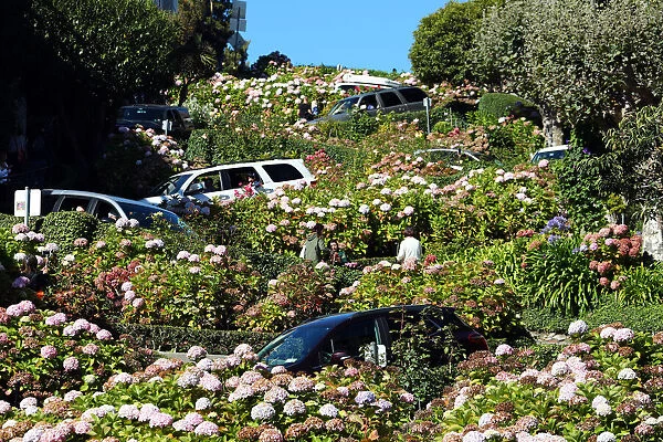 13132529. Lombard Street, the crookedest street in the workd in San Franciso