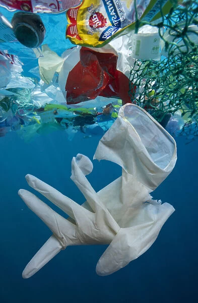 13132607. Used surgical glove drifting at sea, along with other plastic waste