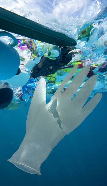 13132608. Used surgical glove drifting at sea, along with other plastic waste