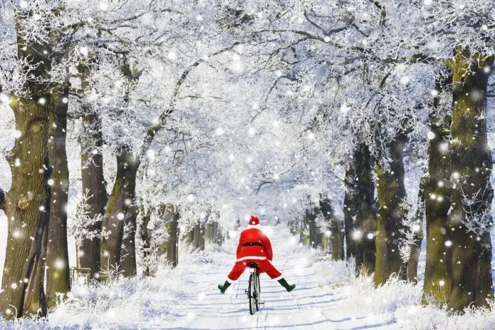 Framed Print : 13132616. Father Christmas riding bicycle through Oak trees covered in snow in winter Date Framed Print : 13132616. Father Christmas riding bicycle through Oak trees covered in snow in winter Date