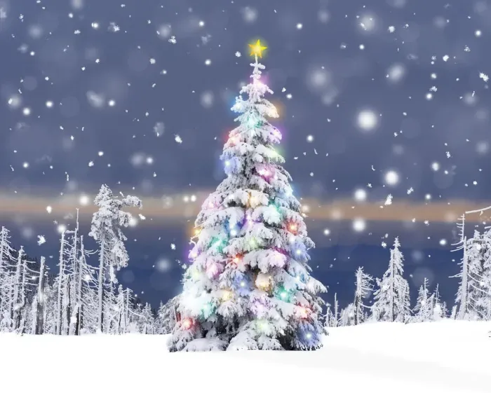 Framed Print : 13132618. Christmas Tree - with Christmas lights and star in winter snow Date Framed Print : 13132618. Christmas Tree - with Christmas lights and star in winter snow Date