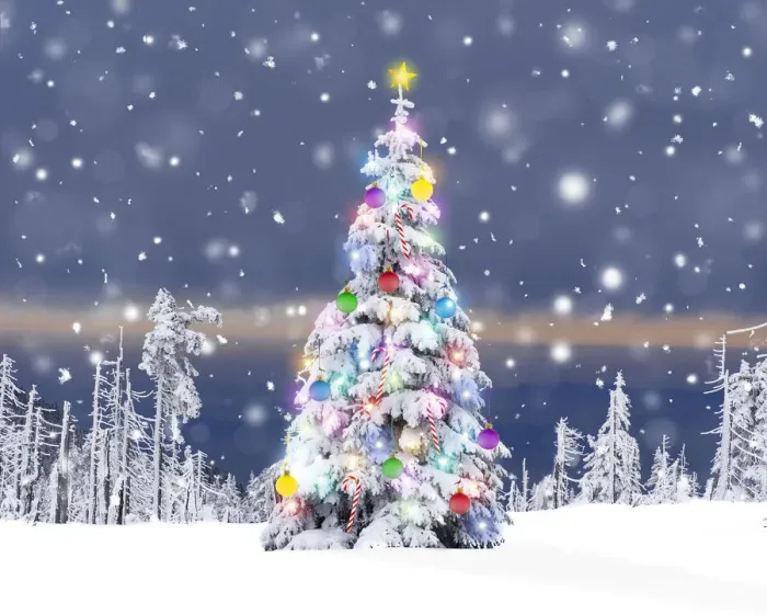 Framed Print : 13132619. Christmas Tree - with Christmas lights decorations and star in winter snow Date Framed Print : 13132619. Christmas Tree - with Christmas lights decorations and star in winter snow Date