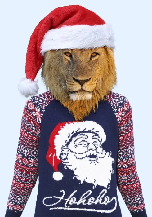 Framed Print : 13132669. Lion, male wearing Christmas jumper and Christmas hat Date Framed Print : 13132669. Lion, male wearing Christmas jumper and Christmas hat Date