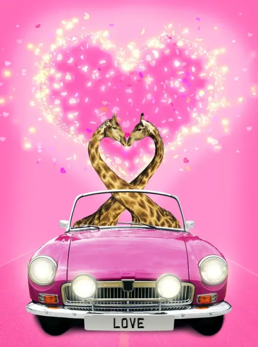Framed Print : 13132673. Adelie Penguins - pair driving car kissing with heart background Date Framed Print : 13132673. Adelie Penguins - pair driving car kissing with heart background Date