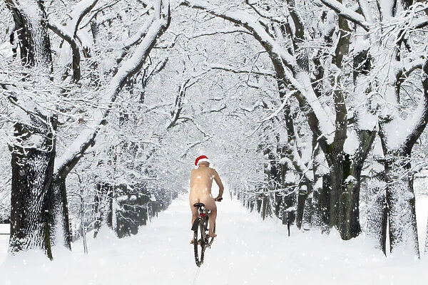 13132683. Naked male with Christmas hat on bike riding through avenue in winter snow Date