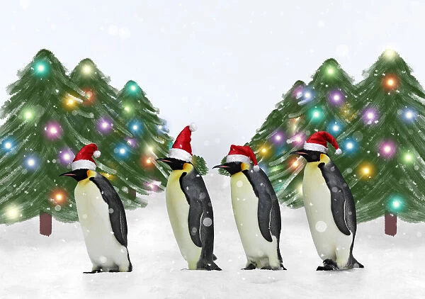 13132692. Penguins wearing Christmas hats with Christmas trees