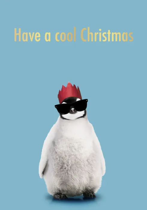 Framed Print : 13132698. Emperor Penguin, Young smiling with Christmas party hat and sunglasses Date