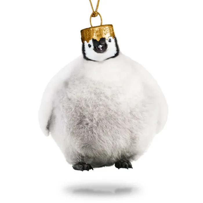Framed Print : 13132700. Emperor Penguin, Christmas bauble Date Framed Print : 13132700. Emperor Penguin, Christmas bauble Date