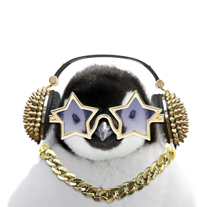 Framed Print : 13132708. Emperor Penguin, close-up of chick with gold neclace / chain headphones Framed Print : 13132708. Emperor Penguin, close-up of chick with gold neclace / chain headphones