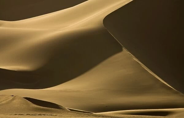 Abstract patterns of dunes in contrasty late afternoon light - Dune Fields - Namib Desert - Namibia - Africa