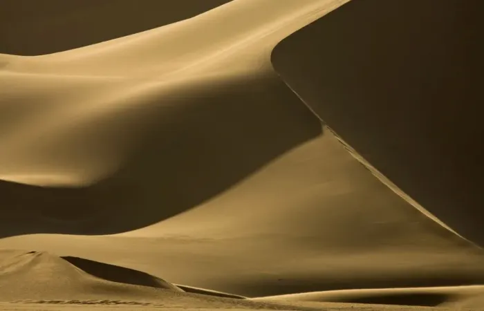Framed Print : Abstract patterns of dunes in contrasty late afternoon light - Dune Fields - Namib Desert - Namibia - Africa Framed Print : Abstract patterns of dunes in contrasty late afternoon light - Dune Fields - Namib Desert - Namibia - Africa