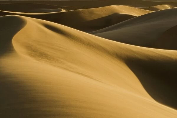 Abstract patterns of dunes in late afternoon light - Dune Fields - Namib Desert - Namibia - Africa