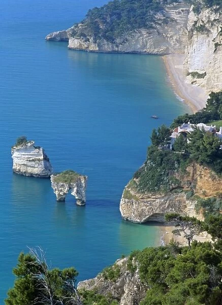 Adriatic Sea coastline with blue sea, pine forest, white chalk cliffs and sea stacks Gargano Peninsula, Apulia, Italy