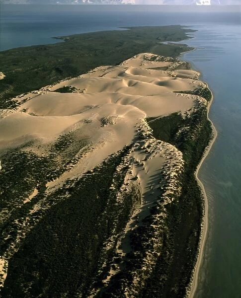 Aerial - Bellefin Prong sand dunes, Shark Bay Marine Park, Western Australia JPF44917