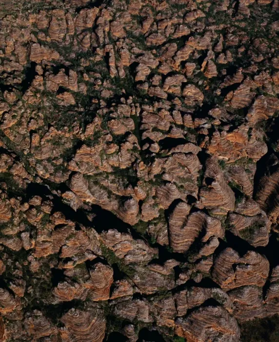 Framed Print : Aerial - Bungle Bungle Range almost vertical shot from the air of sandstone range formed 400 million years ago from layered sediments washed into a rift valley Framed Print : Aerial - Bungle Bungle Range almost vertical shot from the air of sandstone range formed 400 million years ago from layered sediments washed into a rift valley