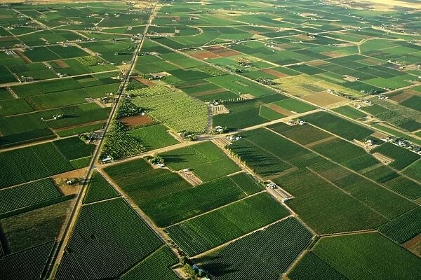Aerial - Citrus and apricot orchards - Murray River irrigation area Mildura, Victoria, Australia JLR06622