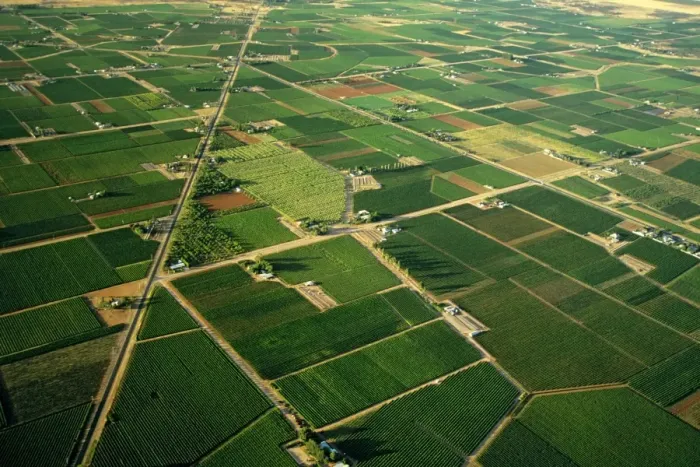 Framed Print : Aerial - Citrus and apricot orchards - Murray River irrigation area Mildura, Victoria, Australia JLR06622 Framed Print : Aerial - Citrus and apricot orchards - Murray River irrigation area Mildura, Victoria, Australia JLR06622