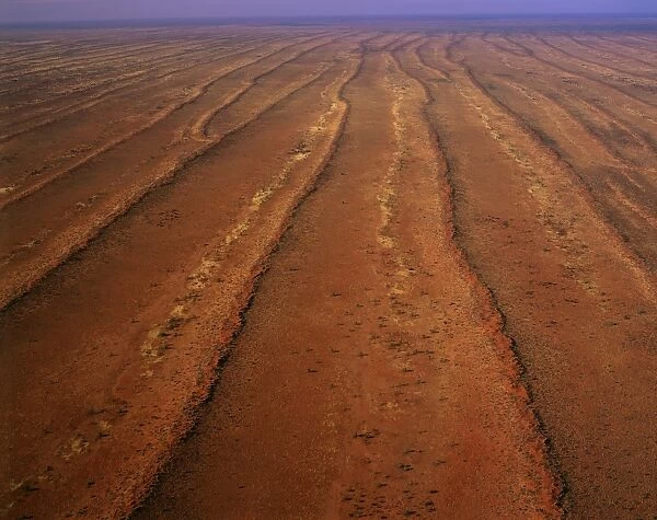 Aerial - Desert - parallel longitudinal sand dunes and sandy interdune corridors, north west Simpson Desert, Northern Territory, Australia JPF45056