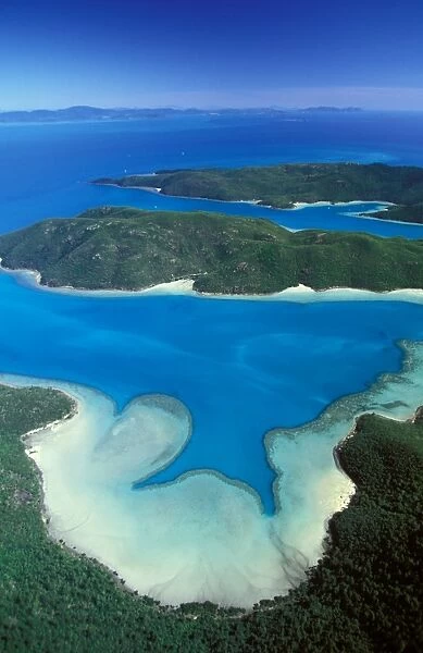 Aerial - Hook Island: Macona & Nara Inlets Whitsunday Group, Great Barrier Reef Marine Park (World Heritage Area), Queensland, Australia JPF34405