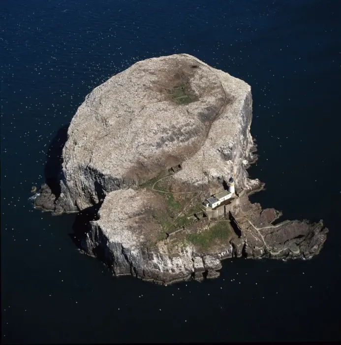 Framed Print : Aerial image of Scotland, UK: Bass Rock (The Bass), Volcanic plug of Phonolite in the Firth of Forth, near Auldhame, East Lothian. Home to more than 150, 000 Gannets and is the largest single rock gannetry in the world Framed Print : Aerial image of Scotland, UK: Bass Rock (The Bass), Volcanic plug of Phonolite in the Firth of Forth, near Auldhame, East Lothian. Home to more than 150, 000 Gannets and is the largest single rock gannetry in the world