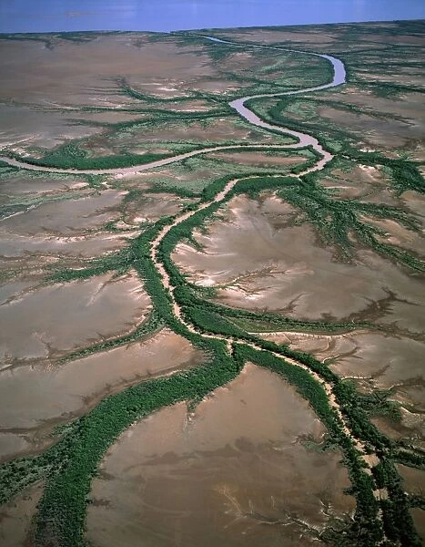 Aerial - King Sound near Derby: tidal flats, mangrove-lined river and dendritic drainage Kimberley region, Western Australia JPF45081