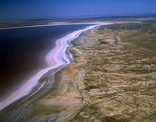 Aerial - Lake Eyre North Dry salt lake that floods a few times each century. Jackboot Bay, along Hunt Peninsula (Elliot Price Conservation Park) fills with pink tinted water (algae) Lake Eyre National Park, South Australia JPF46509