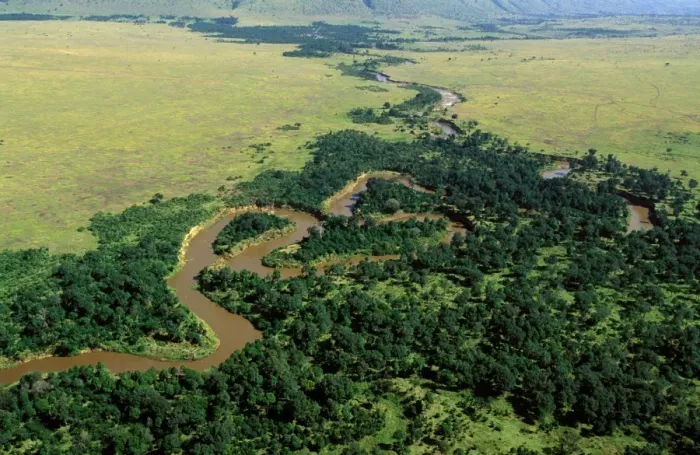 Framed Print : Aerial - Mara River - Masai Mara National Reserve - Kenya JFL17346 Framed Print : Aerial - Mara River - Masai Mara National Reserve - Kenya JFL17346