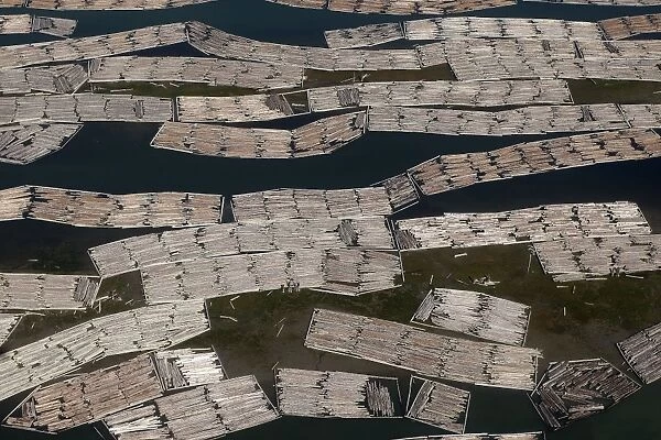 Aerial of mass of logs in water a wood train being floated to Vancouver. British Colombia - Canada