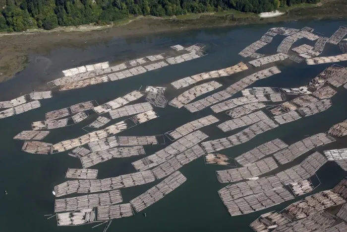 Framed Print : Aerial of mass of logs in water a wood train being floated to Vancouver. British Colombia - Canada Framed Print : Aerial of mass of logs in water a wood train being floated to Vancouver. British Colombia - Canada