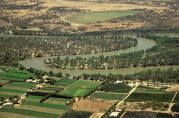 Aerial - Murray River irrigation: citrus orchards - between Swan Reach & Waikerie, South Australia JLR06609