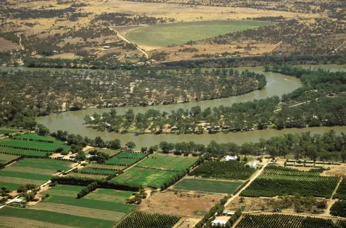 Framed Print : Aerial - Murray River irrigation: citrus orchards - between Swan Reach & Waikerie, South Australia JLR06609