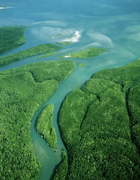 Aerial - Newcastle Bay, Kennedy Inlet and mangroves, Cape York Peninsula, Queensland, Australia JPF49941