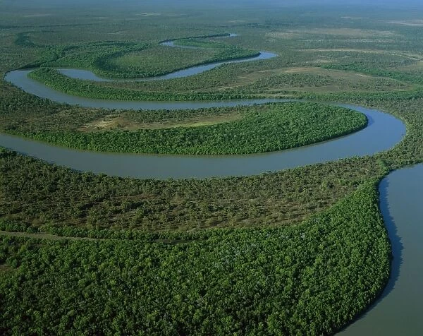 Aerial - North Kennedy River with mangrove-lined banks, Lakefield National Park, far north Queensland, Australia JPF52286