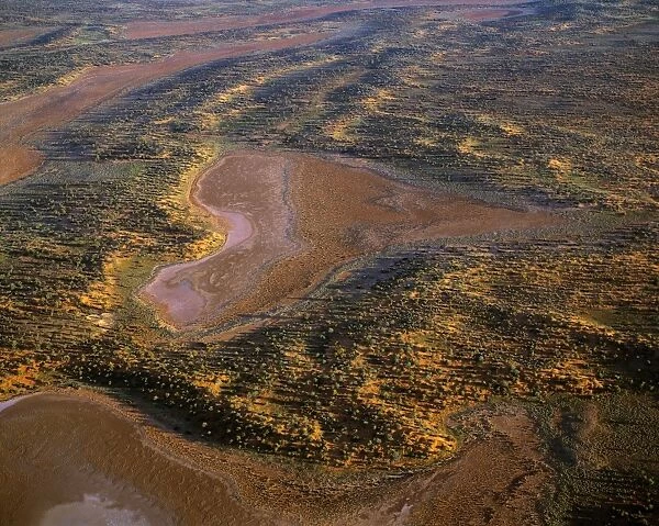 Aerial - Playas  /  claypans and low dunes the most vegetated and largest sand dune desert in Australia. Maralinga-Tjarutja Aboriginal lands - Near Lake Meramangye, Great Victoria Desert, South Australia JPF47860