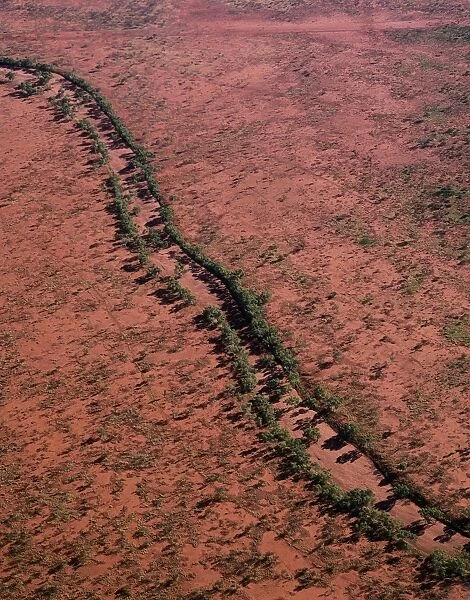 Aerial - Red river gum - growing along river bed, Central Australian Desert, Western Australia JPF44856