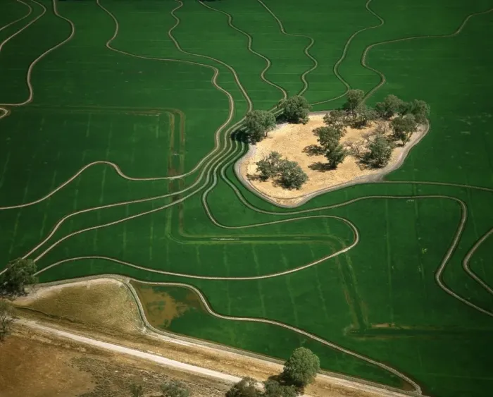 Framed Print : Aerial - Ricefield - Barham, New South Wales, Australia JLR06357 Framed Print : Aerial - Ricefield - Barham, New South Wales, Australia JLR06357