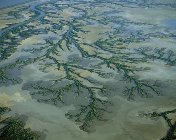 Framed Print : Aerial - Roper River delta aerial with saline flats and mangrove lined dendritic channels, Gulf of Carpentaria, Northern Territory, Australia JPF48635 Framed Print : Aerial - Roper River delta aerial with saline flats and mangrove lined dendritic channels, Gulf of Carpentaria, Northern Territory, Australia JPF48635