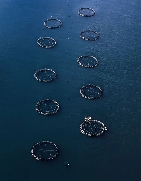 Aerial - Salmon farming off Port Arthur (aquaculture) Tasmania, Australia JPF49468