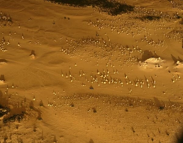 Aerial: ‘The Pinnacles limestone pillars formed underground by vertical seepage, and cemented by dissolved lime. Shifting sand dunes exposed pillars in the past 200 years, Nambung National Park, Western Australia JPF43771