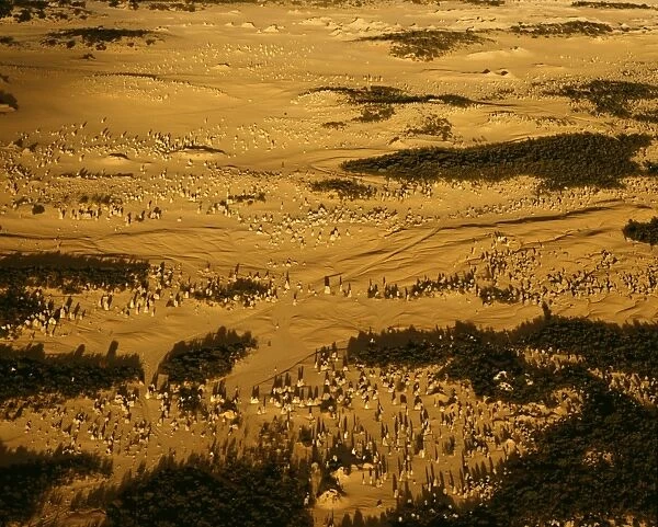 Aerial: ‘The Pinnacles limestone pillars formed underground by vertical seepage, and cemented by dissolved lime. Shifting sand dunes exposed pillars in the past 200 years, Nambung National Park, Western Australia JPF43775
