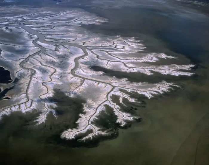 Framed Print : Aerial - Tidal flats along King Sound area, near Derby with mangrove-lined tidal river and dendritic drainage channels - Kimberley region, Western Australia JPF45092 Framed Print : Aerial - Tidal flats along King Sound area, near Derby with mangrove-lined tidal river and dendritic drainage channels - Kimberley region, Western Australia JPF45092