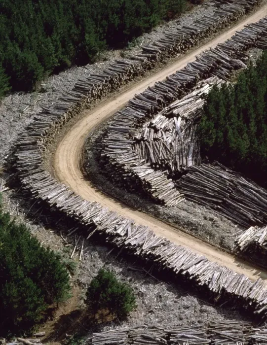 Framed Print : Aerial - Timber loading Northeastern Tasmania, Australia JPF49498 Framed Print : Aerial - Timber loading Northeastern Tasmania, Australia JPF49498