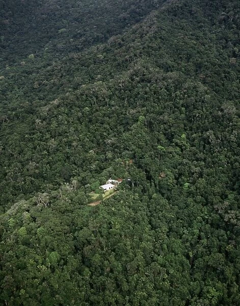 Aerial - Tropical rainforest near Cape Tribulation, with freehold land & house Daintree National Park, Queensland, Australia JPF50057